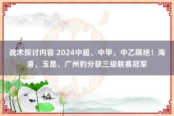 战术探讨内容 2024中超、中甲、中乙隔绝！海港、玉昆、广州豹分获三级联赛冠军