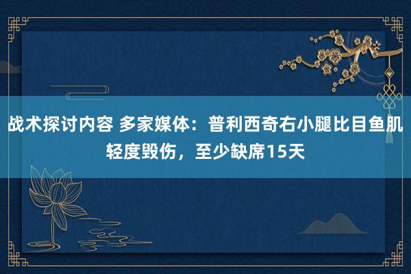 战术探讨内容 多家媒体：普利西奇右小腿比目鱼肌轻度毁伤，至少缺席15天