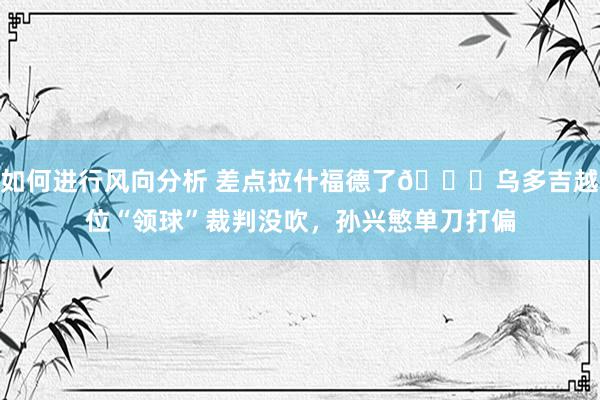 如何进行风向分析 差点拉什福德了😅乌多吉越位“领球”裁判没吹，孙兴慜单刀打偏