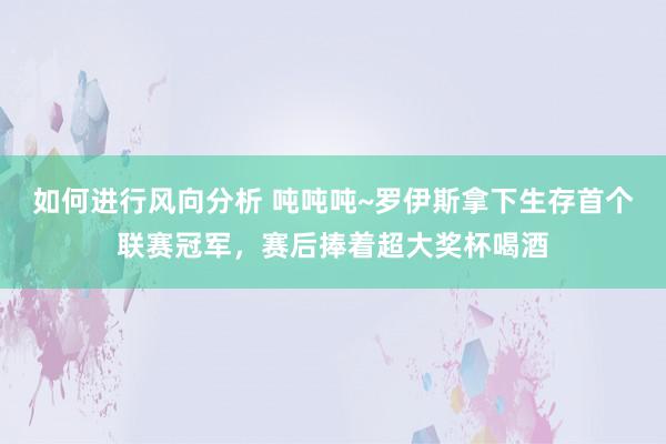 如何进行风向分析 吨吨吨~罗伊斯拿下生存首个联赛冠军，赛后捧着超大奖杯喝酒