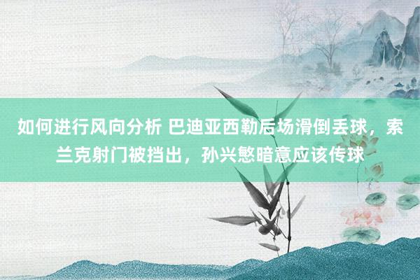 如何进行风向分析 巴迪亚西勒后场滑倒丢球，索兰克射门被挡出，孙兴慜暗意应该传球