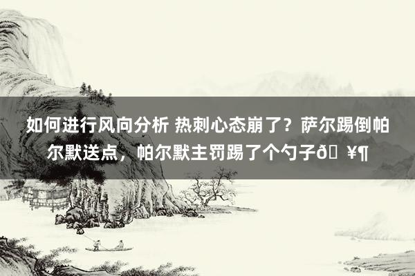 如何进行风向分析 热刺心态崩了？萨尔踢倒帕尔默送点，帕尔默主罚踢了个勺子🥶